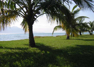 Praia Engenho d´Água em Ilhabela