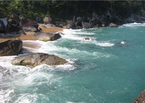 Praia do Gato em Ilhabela