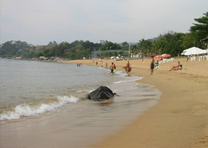 Praia Grande em Ilhabela